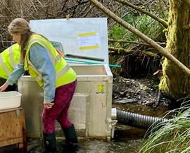 smolttrap2024cropped