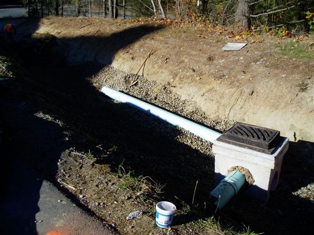 raingarden4.jpg raingarden4.jpg