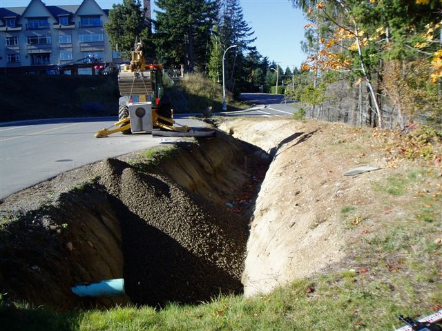 raingarden5.jpg raingarden5.jpg