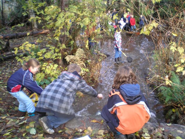 Grade 6 Class at Springwood measuring stream flow Grade 6 Class at Springwood measuring stream flow
